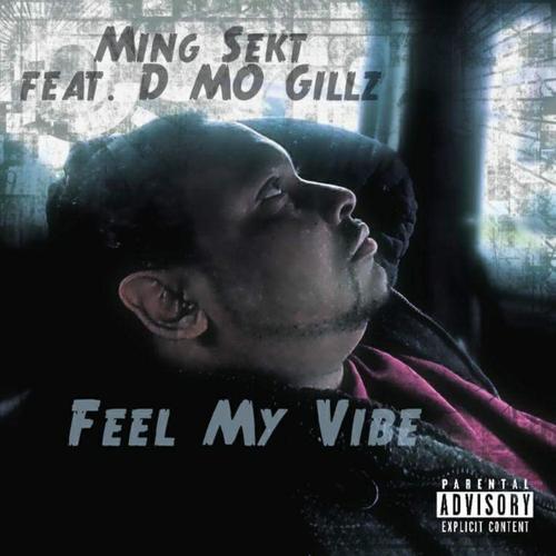 Feel My Vibe (Explicit)
