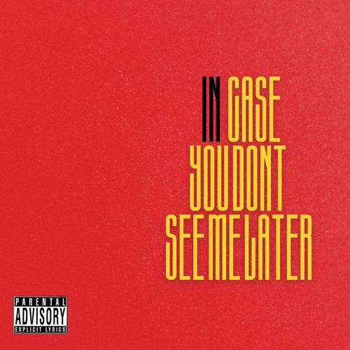 IN CASE YOU DONT SEE ME LATER (Explicit)