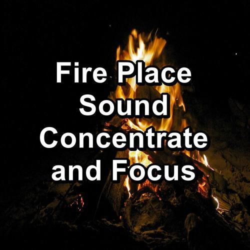 Fire Place Sound Concentrate and Focus