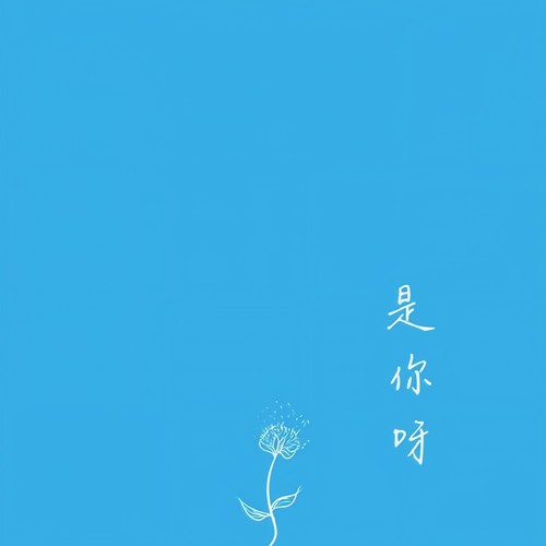 是你呀.acoustic