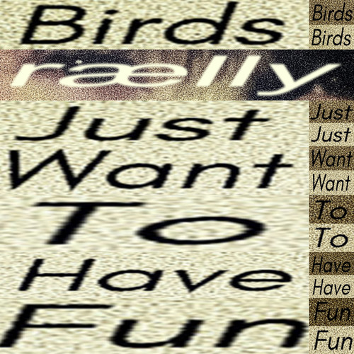 Birds really just want to have fun