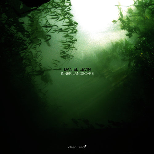 Inner Landscape