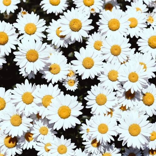 嘿希望你睡个好觉