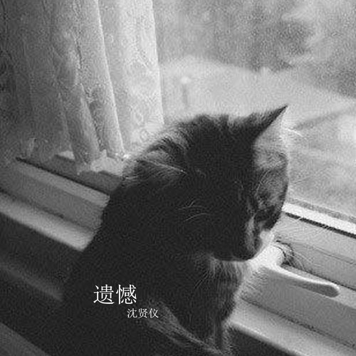遗憾