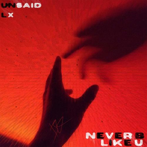 NEVERBLIKEU (feat. LX)
