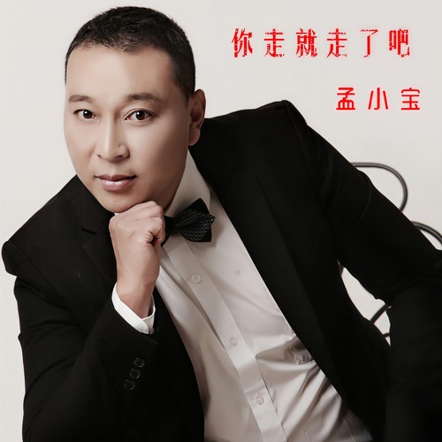 你走就走了吧