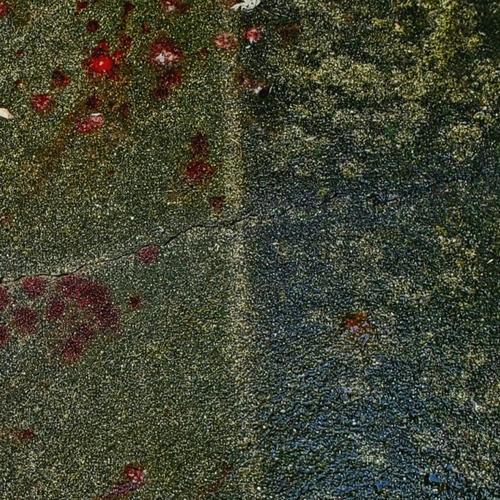 suicide (feat. eleven empire beats) [Explicit]