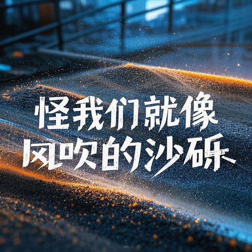 怪我们就像风吹的沙砾