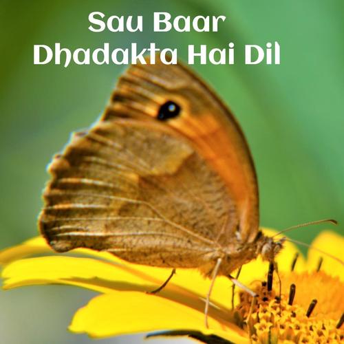 Sau Baar Dhadakta Hai Dil