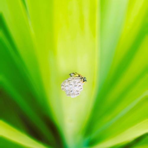 Embracing The Inevitable