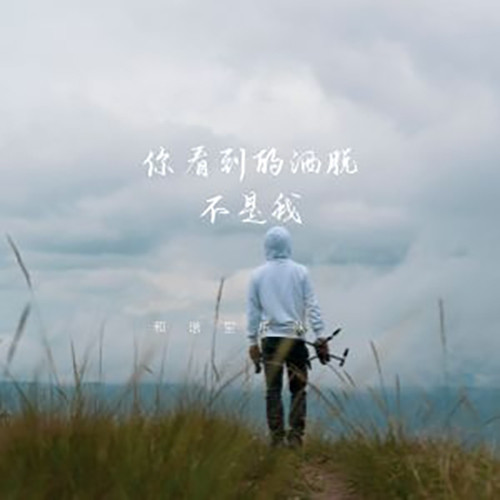 你看到的洒脱不是我