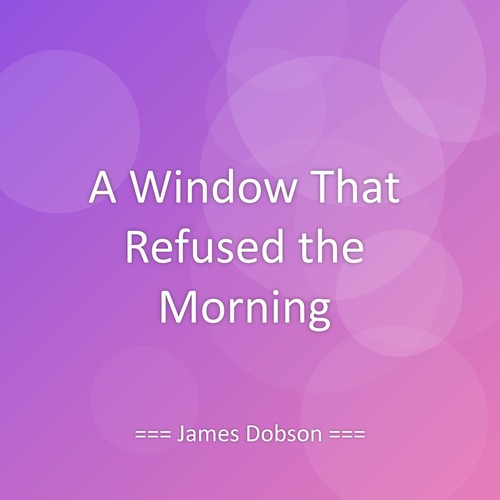 A Window That Refused the Morning