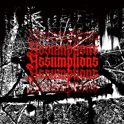 Assumptions (Explicit)