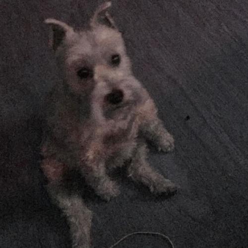 A Day At The Race (Instrumental Demo)