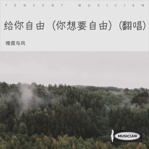给你自由（你想要自由）(翻唱)