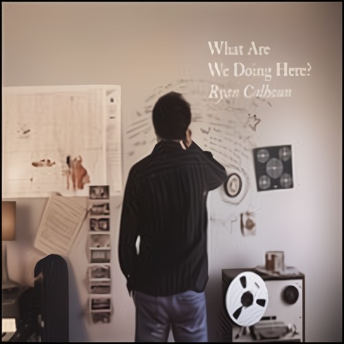 What Are We Doing Here?