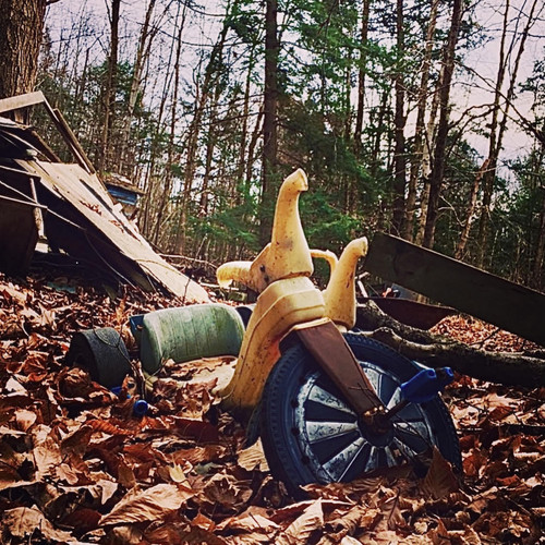 When The Dust Settles