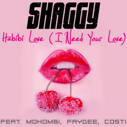Habbi Love (I Need Your Love) (嘿，爱人（我需要你的爱）)
