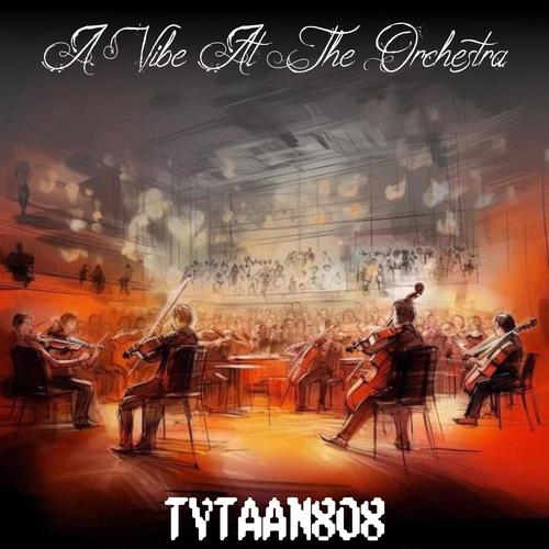 A Vibe At The Orchestra