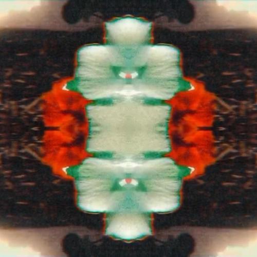 BEAUTIFUL EVIL (Explicit)