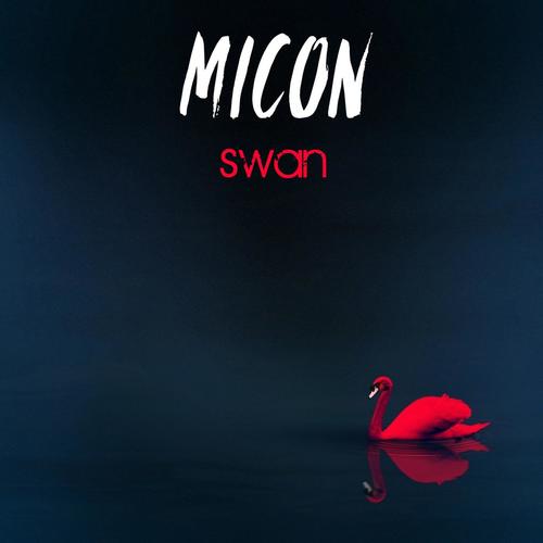 Swan