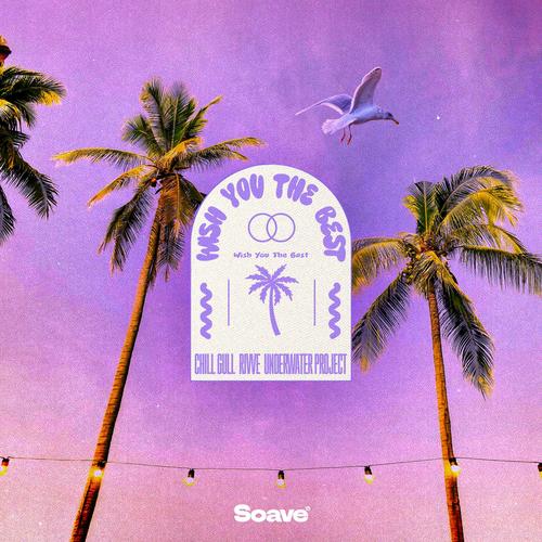 Wish You The Best (feat. Andreea Flavia)