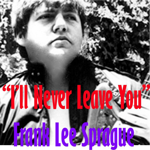 I'll Never Leave You