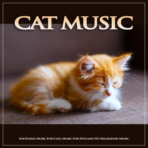 Cat Music: Soothing Music For Cats, Music For Pets and Pet Relaxation Music