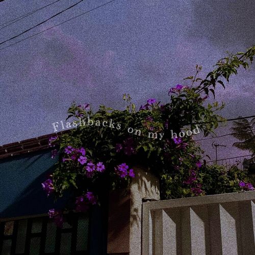 Flashbacks on my hood (Explicit)