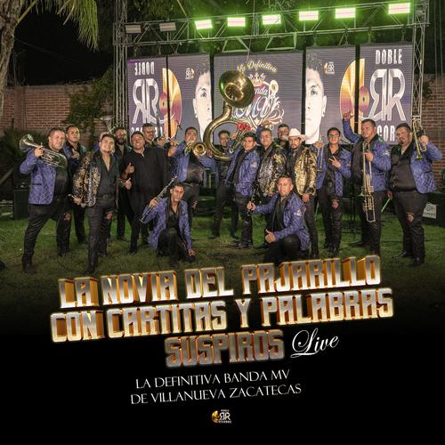 LA NOVIA DEL PAJARILLO, CON CARTITAS, SUSPIROS