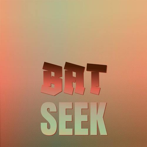 Bat Seek