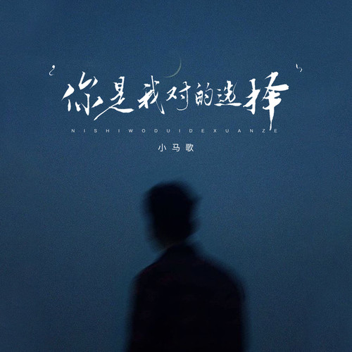 你是我对的选择