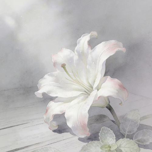 野百合也有春天（万人现场版）