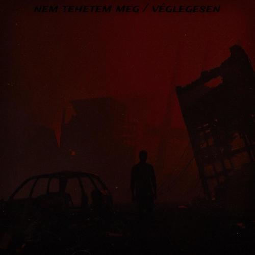 nem tehetem meg / véglegesen (Explicit)