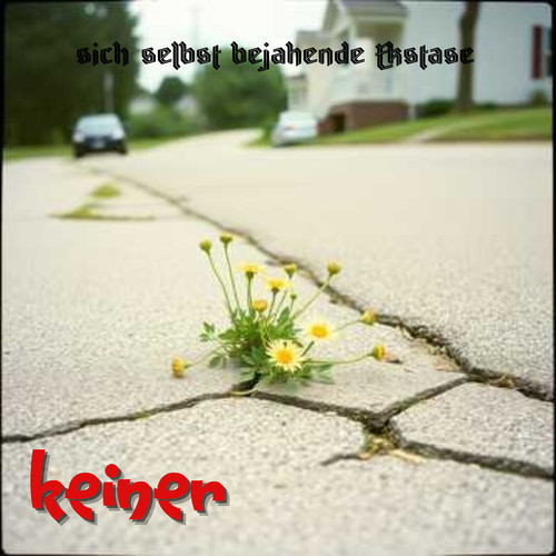 Sich Selbst Bejahende Ekstase