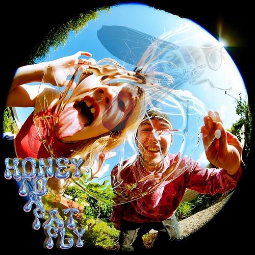 Honey To A Fat Fly (feat. bella.)