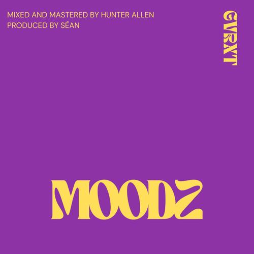 MOODZ (Alternative Mix)