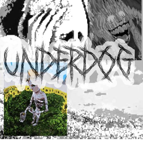 UNDERDOG