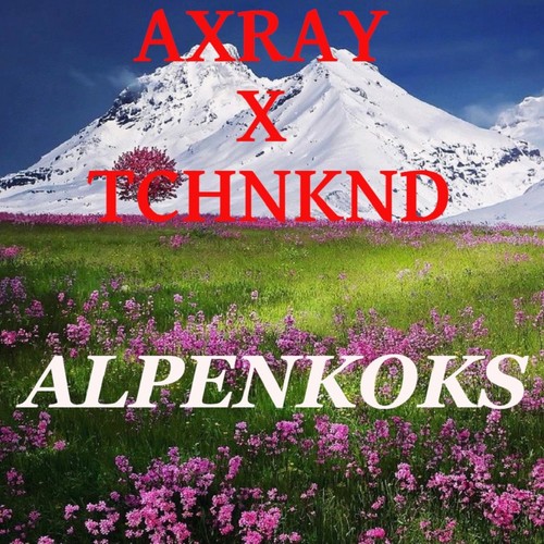 Alpenkoks (feat. TCHNKND)