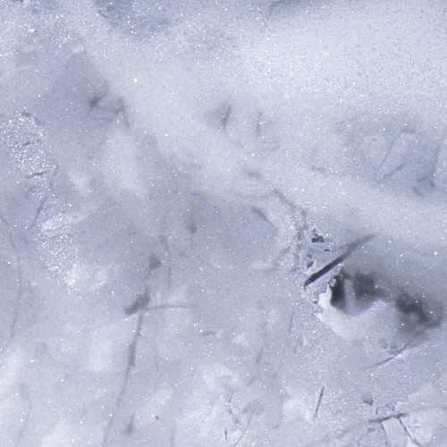 Talven uneen vaipuen