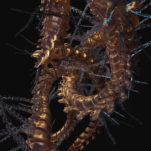 OPAL SPINE (Reengineered)