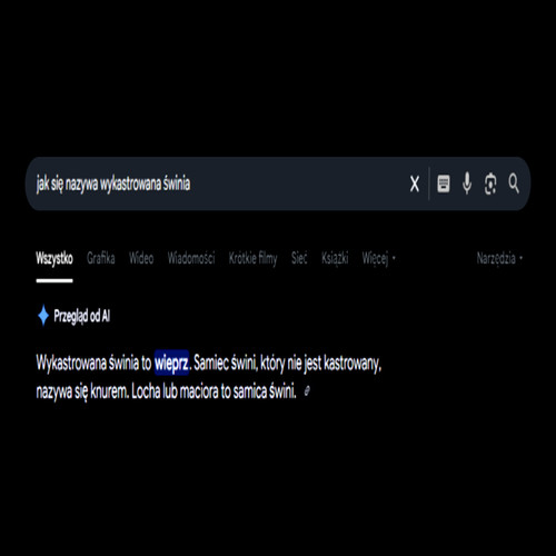 WYDMUSZKA (Explicit)