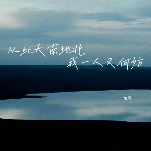 从此天南地北 我一人又何妨