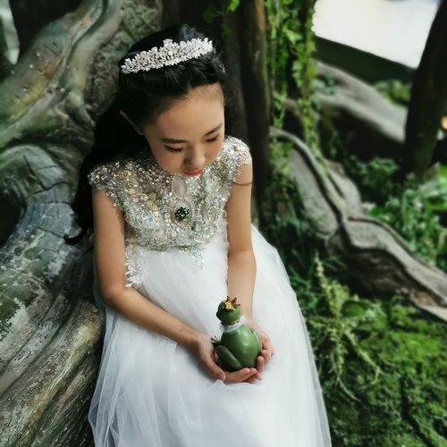 青蛙王子（永恒的童声）