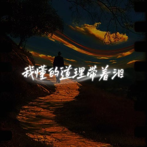 我懂的道理带着泪（生活感悟语录版）