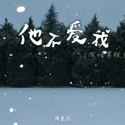 他不爱我(深情男版)