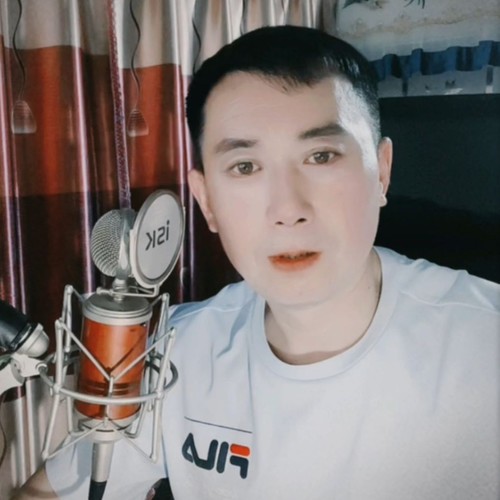 身无彩凤