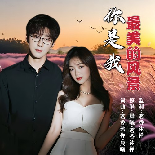 你是我最美的风景（对唱版）