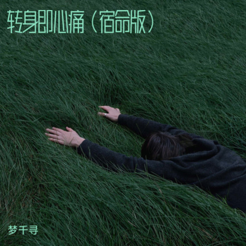 转身即心痛（宿命版）