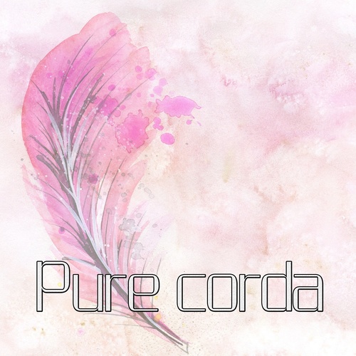 봄 바람 꽃 (Spring Wind Flower)